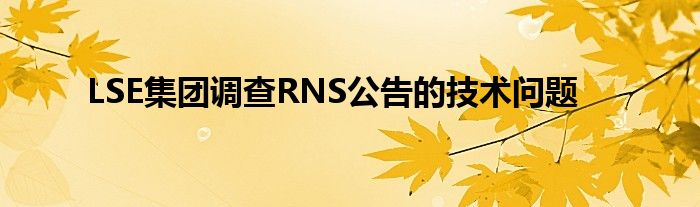 LSE集团调查RNS公告的技术问题