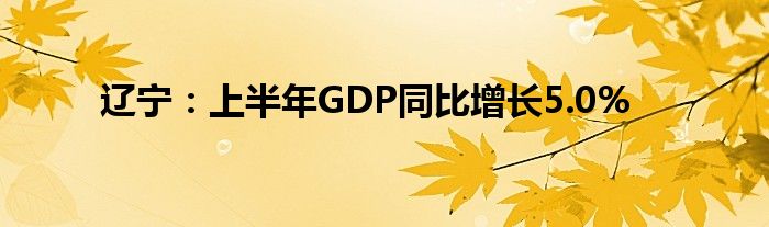 辽宁：上半年GDP同比增长5.0%