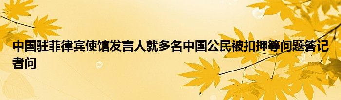 中国驻菲律宾使馆发言人就多名中国公民被扣押等问题答记者问