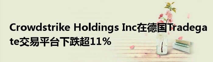 Crowdstrike Holdings Inc在德国Tradegate交易平台下跌超11%