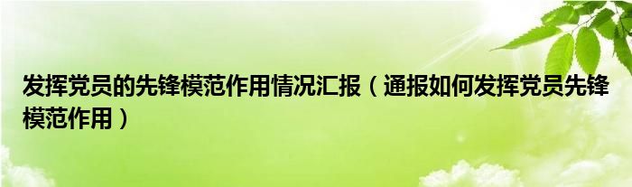 发挥党员的先锋模范作用情况汇报（通报如何发挥党员先锋模范作用）