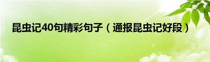 昆虫记40句精彩句子（通报昆虫记好段）