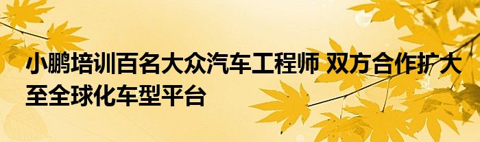 小鹏培训百名大众汽车工程师 双方合作扩大至全球化车型平台