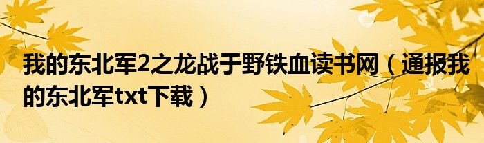 我的东北军2之龙战于野铁血读书网（通报我的东北军txt下载）