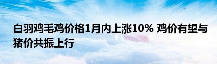 白羽鸡毛鸡价格1月内上涨10% 鸡价有望与猪价共振上行