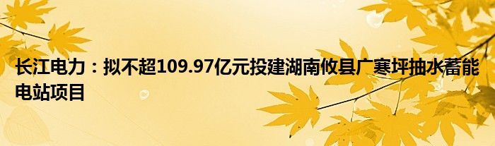 长江电力：拟不超109.97亿元投建湖南攸县广寒坪抽水蓄能电站项目