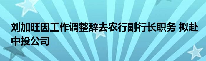 刘加旺因工作调整辞去农行副行长职务 拟赴中投公司