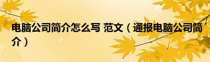 电脑公司简介怎么写 范文（通报电脑公司简介）