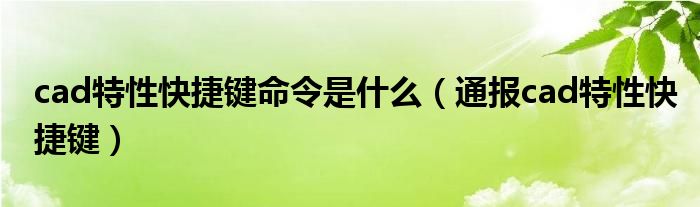 cad特性快捷键命令是什么（通报cad特性快捷键）