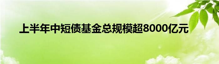 上半年中短债基金总规模超8000亿元