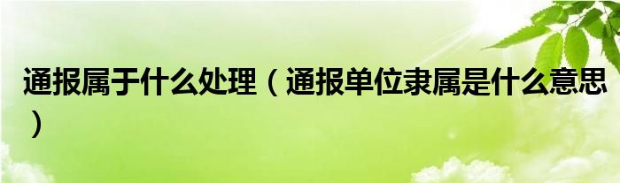 通报属于什么处理（通报单位隶属是什么意思）