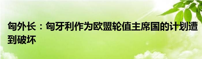 匈外长：匈牙利作为欧盟轮值主席国的计划遭到破坏