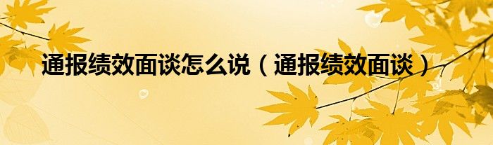 通报绩效面谈怎么说（通报绩效面谈）