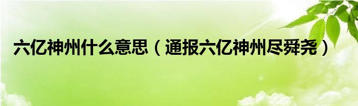 六亿神州什么意思（通报六亿神州尽舜尧）