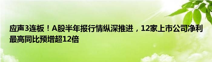 应声3连板！A股半年报行情纵深推进，12家上市公司净利最高同比预增超12倍