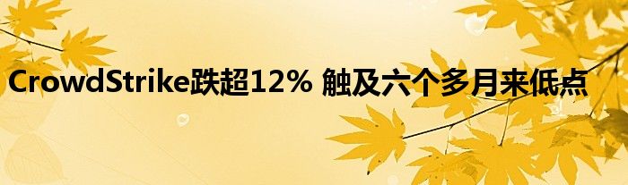 CrowdStrike跌超12% 触及六个多月来低点