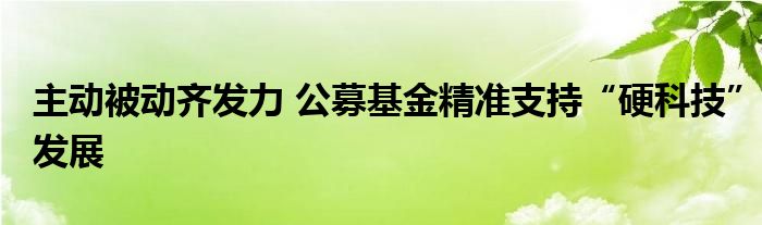 主动被动齐发力 公募基金精准支持“硬科技”发展