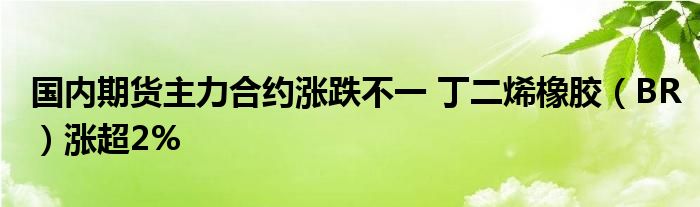 国内期货主力合约涨跌不一 丁二烯橡胶（BR）涨超2%