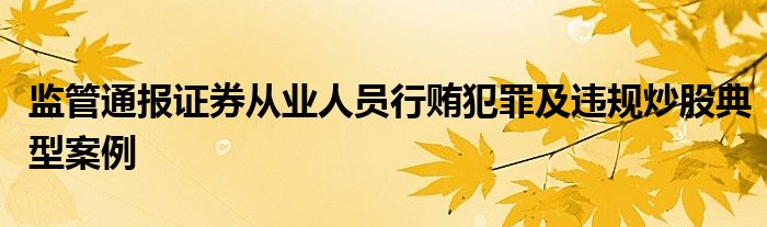 监管通报证券从业人员行贿犯罪及违规炒股典型案例