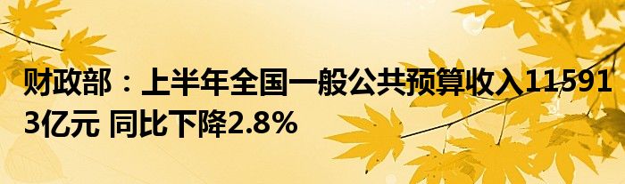 财政部：上半年全国一般公共预算收入115913亿元 同比下降2.8%