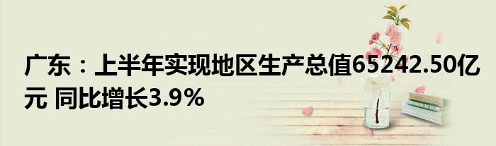 广东：上半年实现地区生产总值65242.50亿元 同比增长3.9%