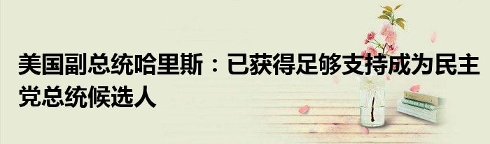 美国副总统哈里斯：已获得足够支持成为民主党总统候选人