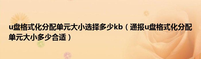 u盘格式化分配单元大小选择多少kb（通报u盘格式化分配单元大小多少合适）