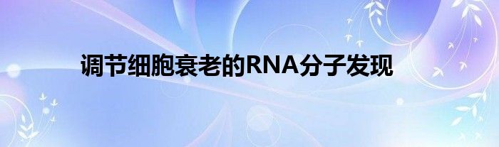 调节细胞衰老的RNA分子发现