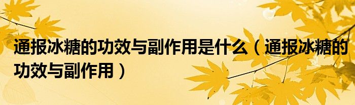 通报冰糖的功效与副作用是什么（通报冰糖的功效与副作用）