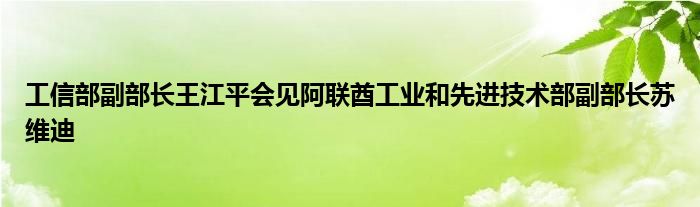 工信部副部长王江平会见阿联酋工业和先进技术部副部长苏维迪