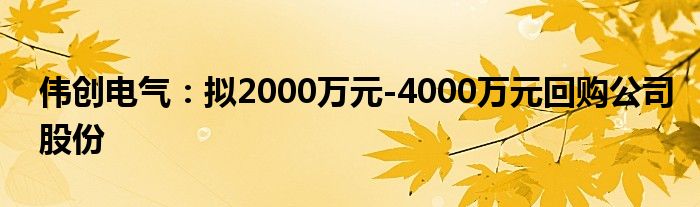 伟创电气：拟2000万元-4000万元回购公司股份