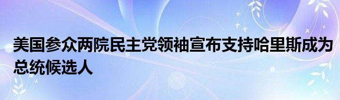 美国参众两院民主党领袖宣布支持哈里斯成为总统候选人