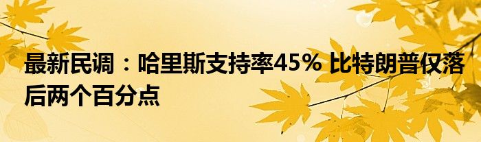 最新民调：哈里斯支持率45% 比特朗普仅落后两个百分点