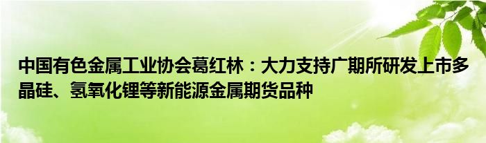 中国有色金属工业协会葛红林：大力支持广期所研发上市多晶硅、氢氧化锂等新能源金属期货品种