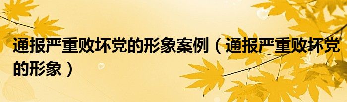 通报严重败坏党的形象案例（通报严重败坏党的形象）