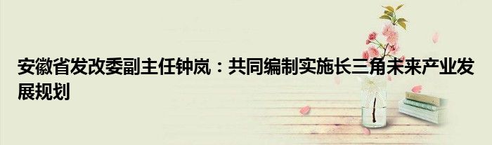 安徽省发改委副主任钟岚：共同编制实施长三角未来产业发展规划