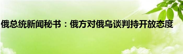 俄总统新闻秘书：俄方对俄乌谈判持开放态度