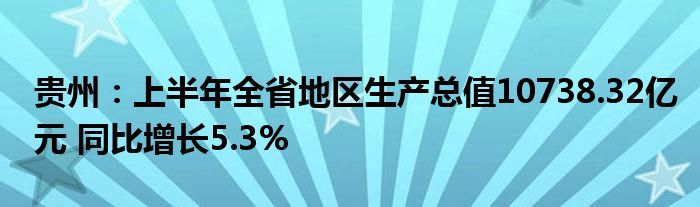 贵州：上半年全省地区生产总值10738.32亿元 同比增长5.3%