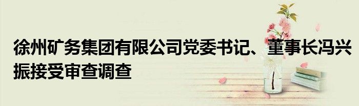 徐州矿务集团有限公司党委书记、董事长冯兴振接受审查调查