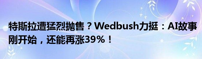 特斯拉遭猛烈抛售？Wedbush力挺：AI故事刚开始，还能再涨39%！