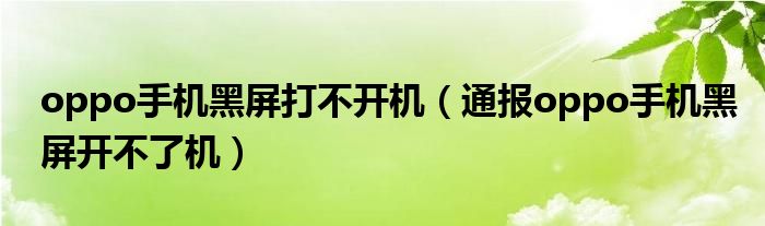 oppo手机黑屏打不开机（通报oppo手机黑屏开不了机）