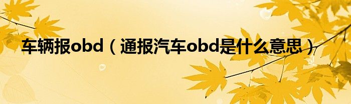 车辆报obd（通报汽车obd是什么意思）