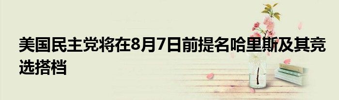 美国民主党将在8月7日前提名哈里斯及其竞选搭档