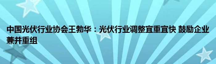 中国光伏行业协会王勃华：光伏行业调整宜重宜快 鼓励企业兼并重组