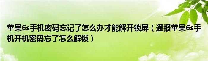 苹果6s手机密码忘记了怎么办才能解开锁屏（通报苹果6s手机开机密码忘了怎么解锁）