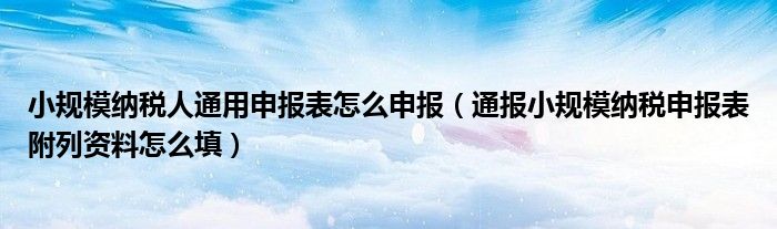 小规模纳税人通用申报表怎么申报（通报小规模纳税申报表附列资料怎么填）