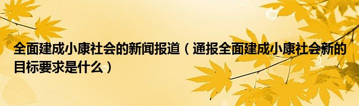 全面建成小康社会的新闻报道（通报全面建成小康社会新的目标要求是什么）