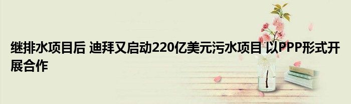 继排水项目后 迪拜又启动220亿美元污水项目 以PPP形式开展合作