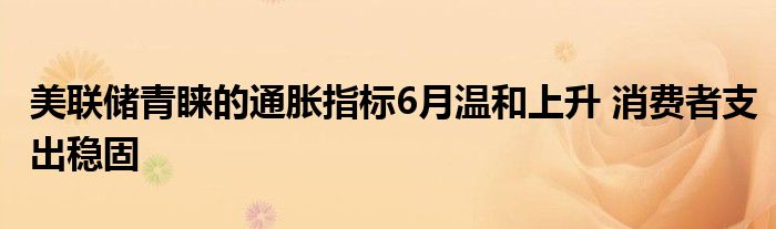 美联储青睐的通胀指标6月温和上升 消费者支出稳固