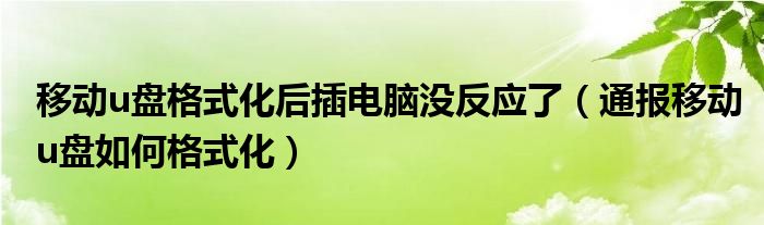 移动u盘格式化后插电脑没反应了（通报移动u盘如何格式化）